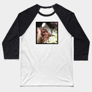 Funny Husky Dog Smelling Foot Flowers Simple Baseball T-Shirt